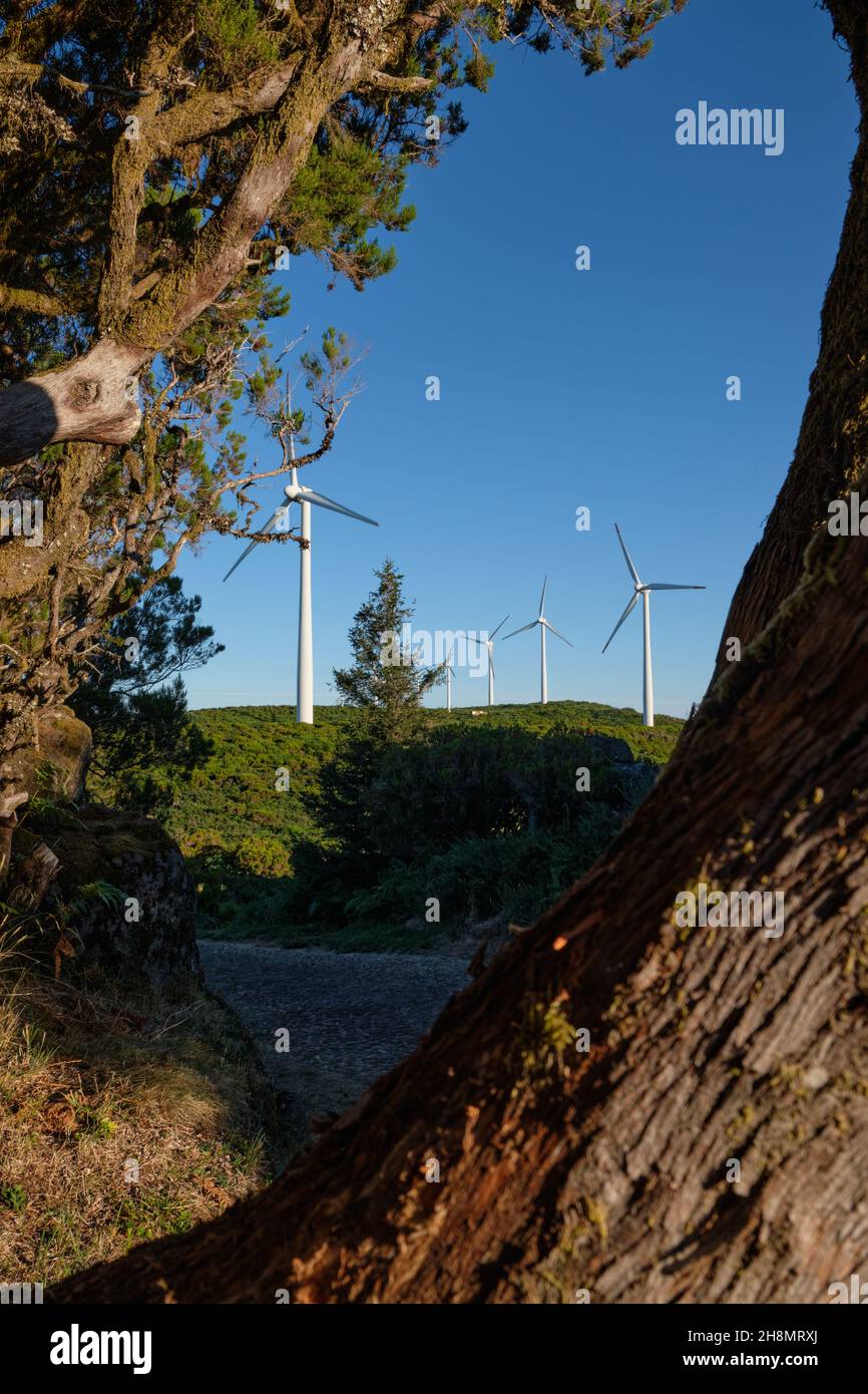 Wind power Energy - Madeira Island, Portugal Stock Photo - Alamy