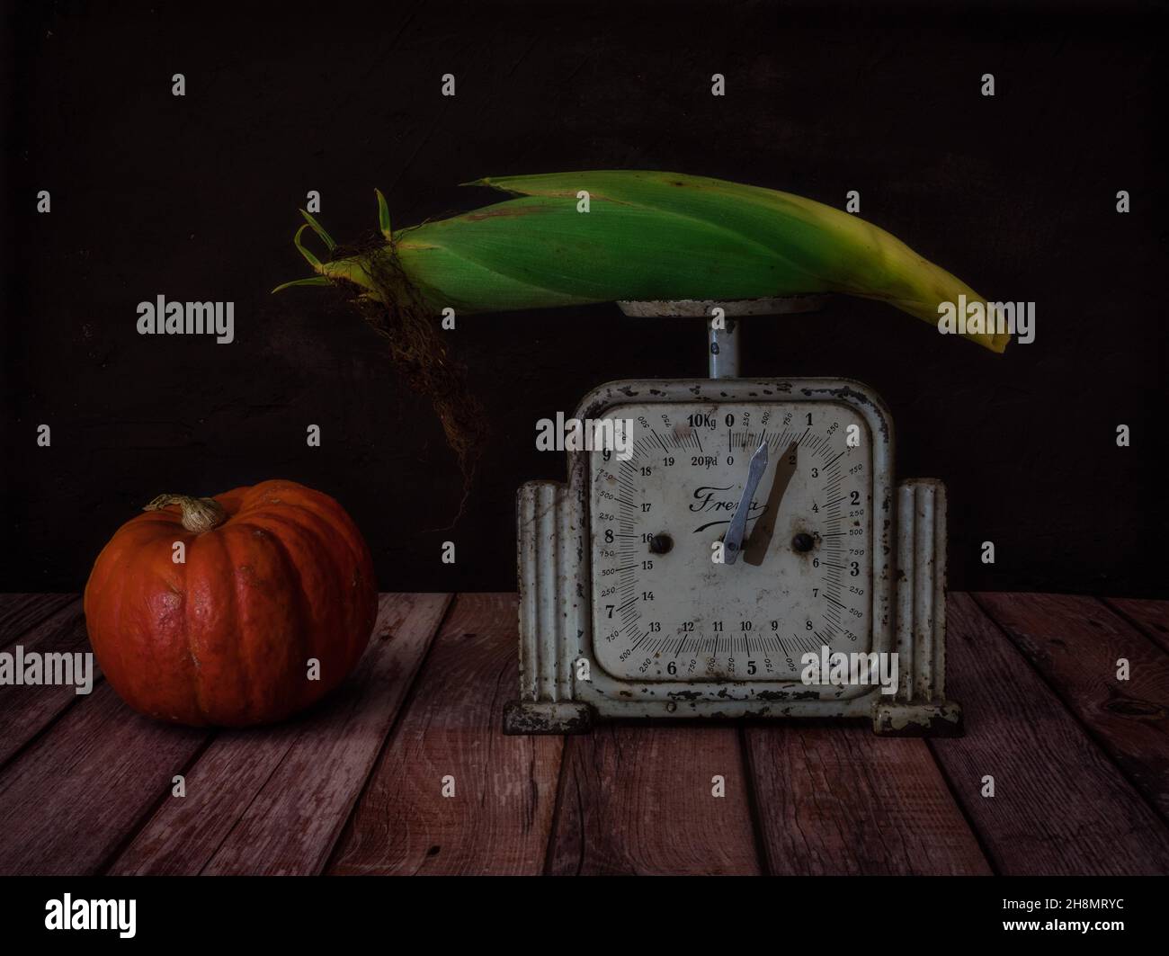 Still Life with Pumpkin and Corn on the Cob on Old Kitchen Scales Stock