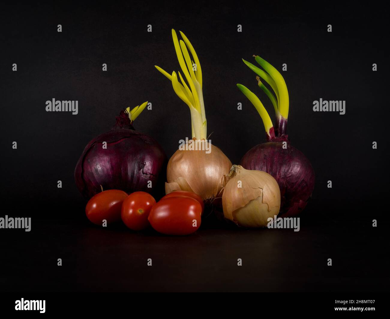 Still life with red and white onions and cherry tomatoes Stock Photo