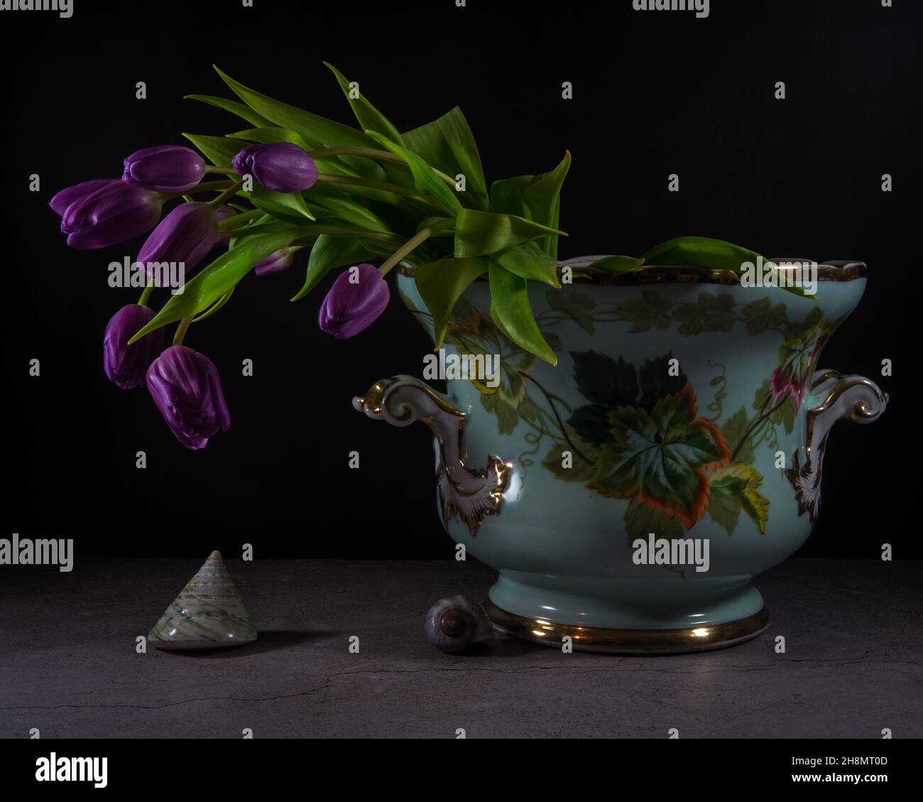 Still Life with Snail Shells and Purple Tulips in an Old Ceramic Bowl Stock Photo