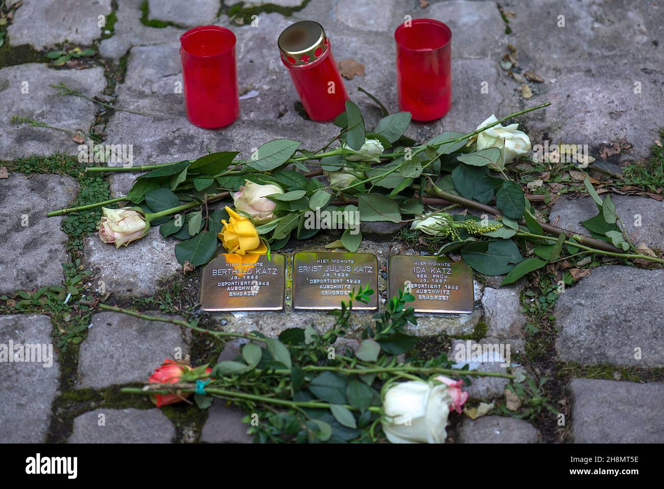 Roses and mourning candles at three memorial stones, commemoration of murdered Jewish fellow citizens by the Nazi regime in the Third Reich Stock Photo