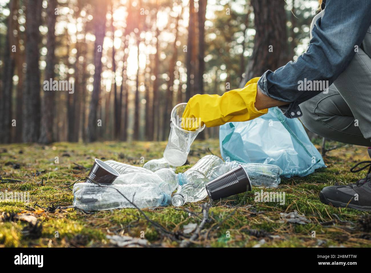 Volunteer cleaning forest from plastic waste. Environmental issues