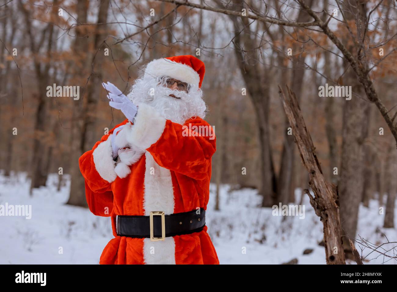 Santa Claus walking a forest tree holding in a red bag gifts for children for Christmas Stock Photo