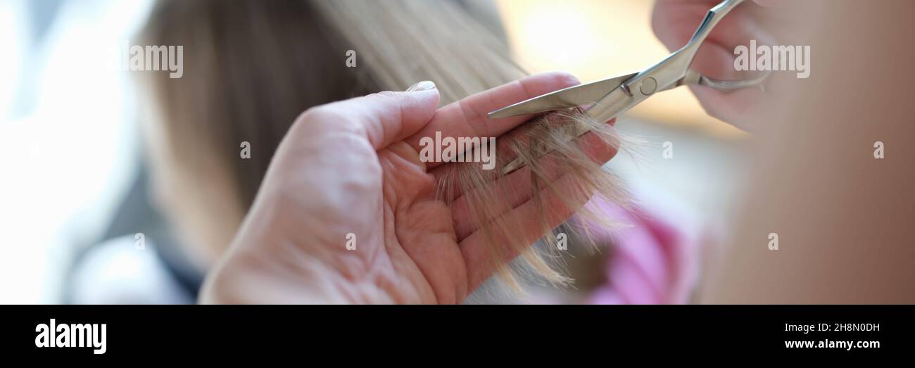Master hairdresser cuts split ends of hair with scissors closeup Stock