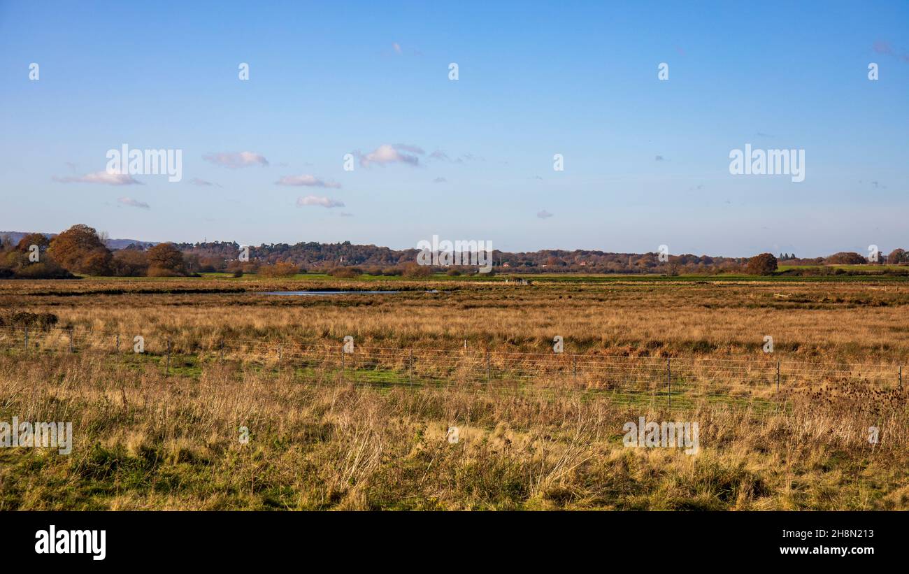 RSPB Pulborough Brooks ,South Downs, West Sussex Stock Photo