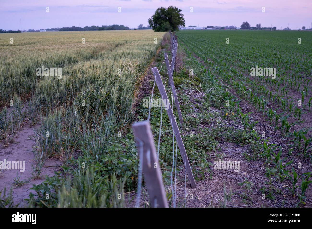 Dividing fence on farm hi-res stock photography and images - Alamy