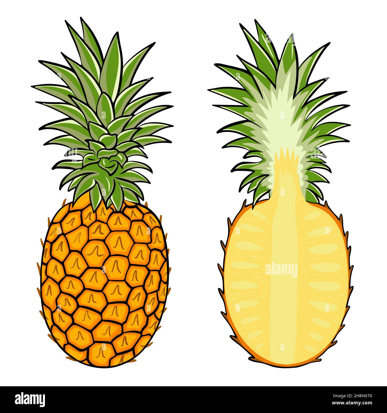 Pineapple Vector