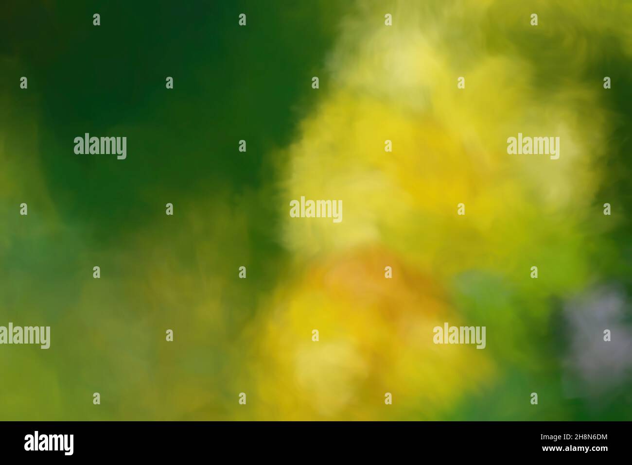 Abstract blurred background, blurred background effect. Stock Photo
