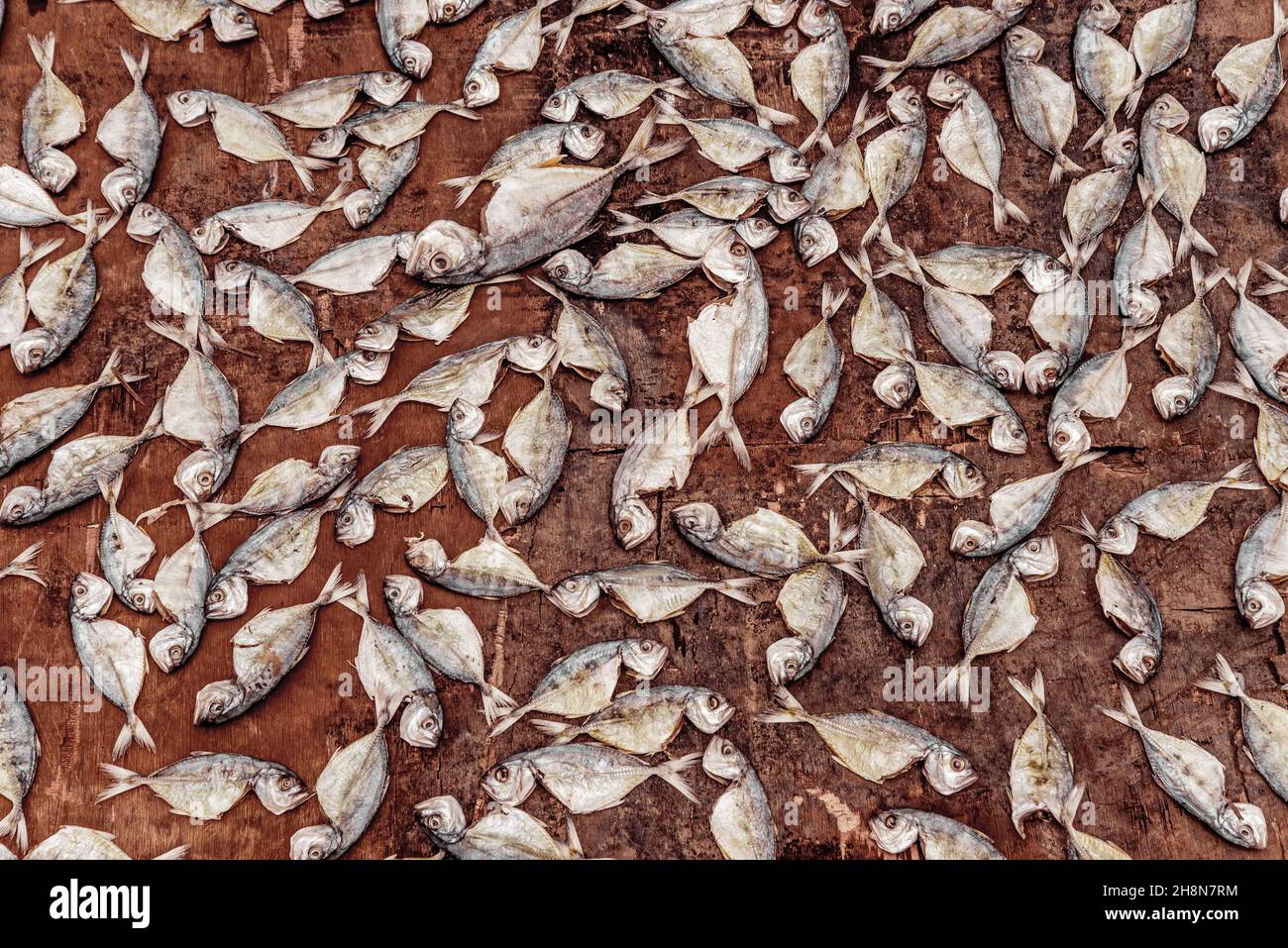 Fishes desiccated or sun dried fish Stock Photo