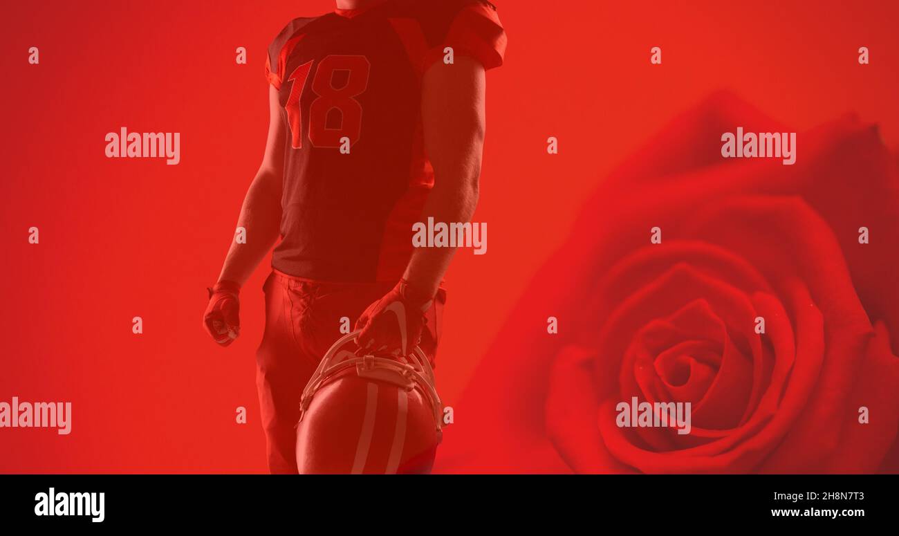 Midsection of american football athlete holding helmet over red rose background Stock Photo