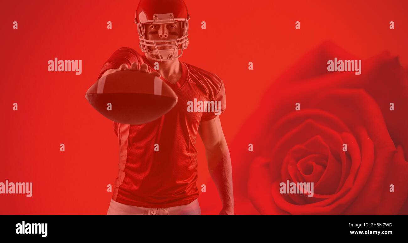 Portrait of confident athlete holding american football's ball over red rose background Stock Photo