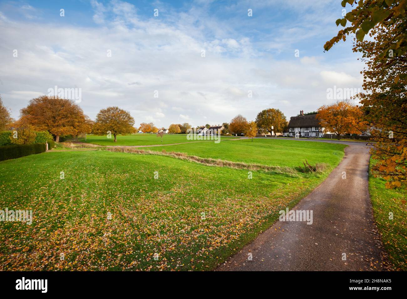 Barrington Village Green, Cambridgeshire, England at the start of autumn fall with sunlight casting watery shadows and leaves just starting to turn Stock Photo