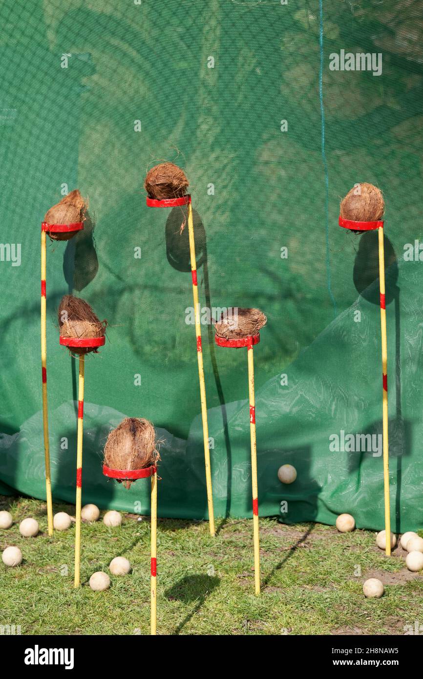 Coconut Shy with coconuts on stands with green net and wooden balls on