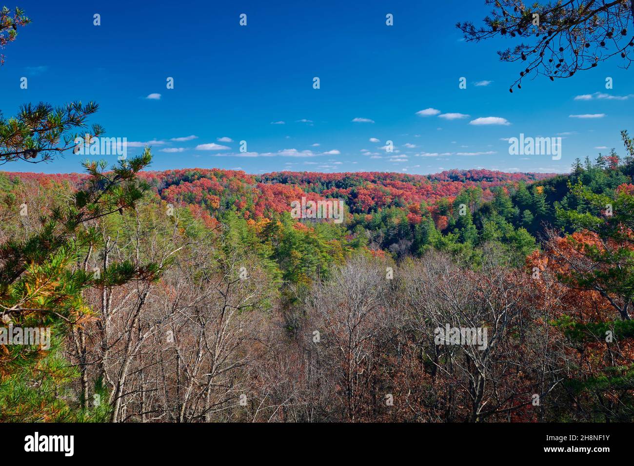 Fall colors along the Silvermine Arch Trail at Red River Gorge, KY ...