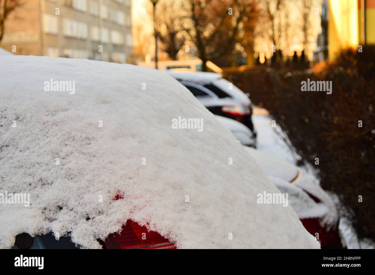 Cars parked on the street covered with a thick layer of snow. Winter ...