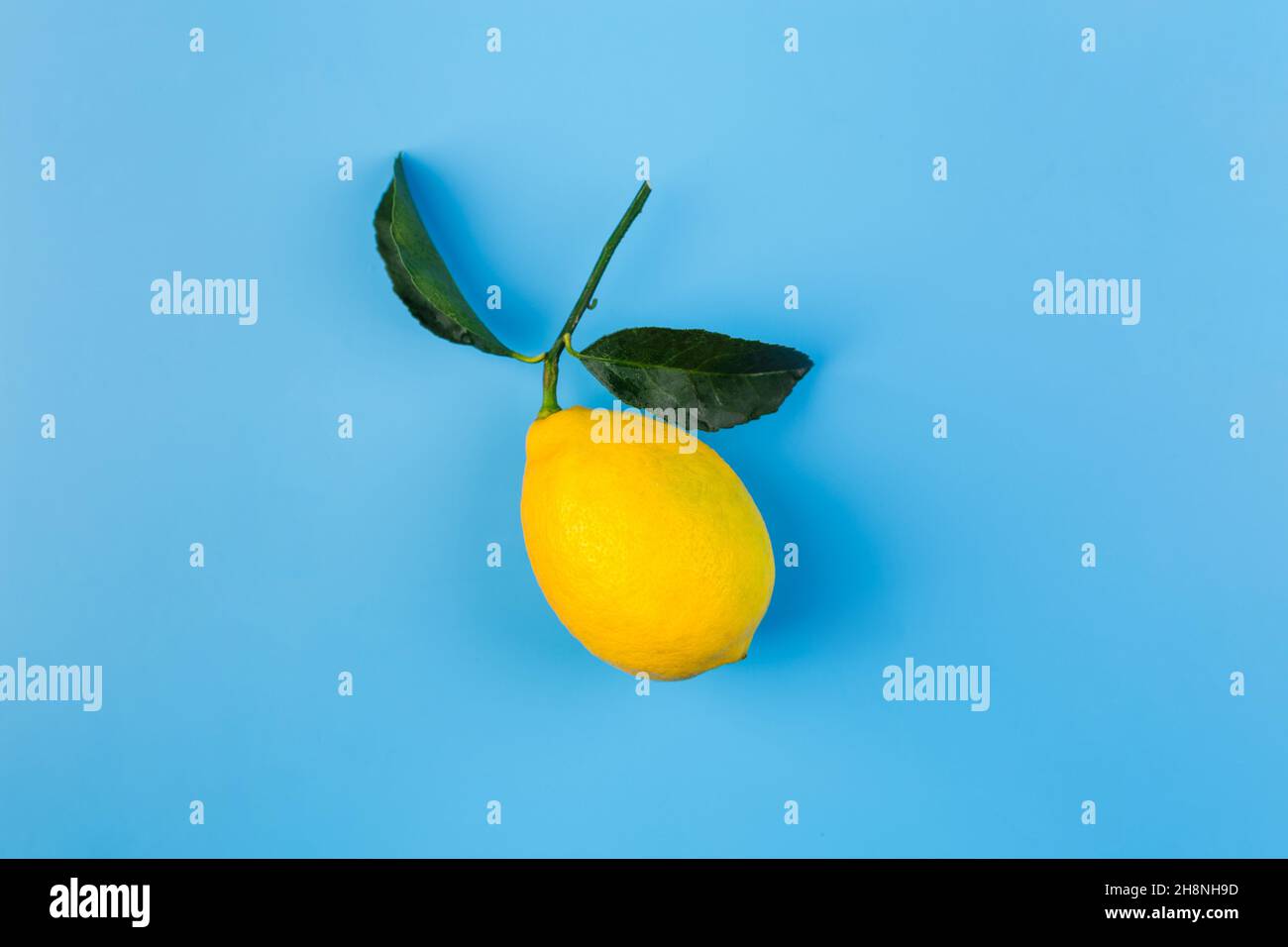 One fresh yellow lemon with green leaves on a blue flat lay Stock Photo