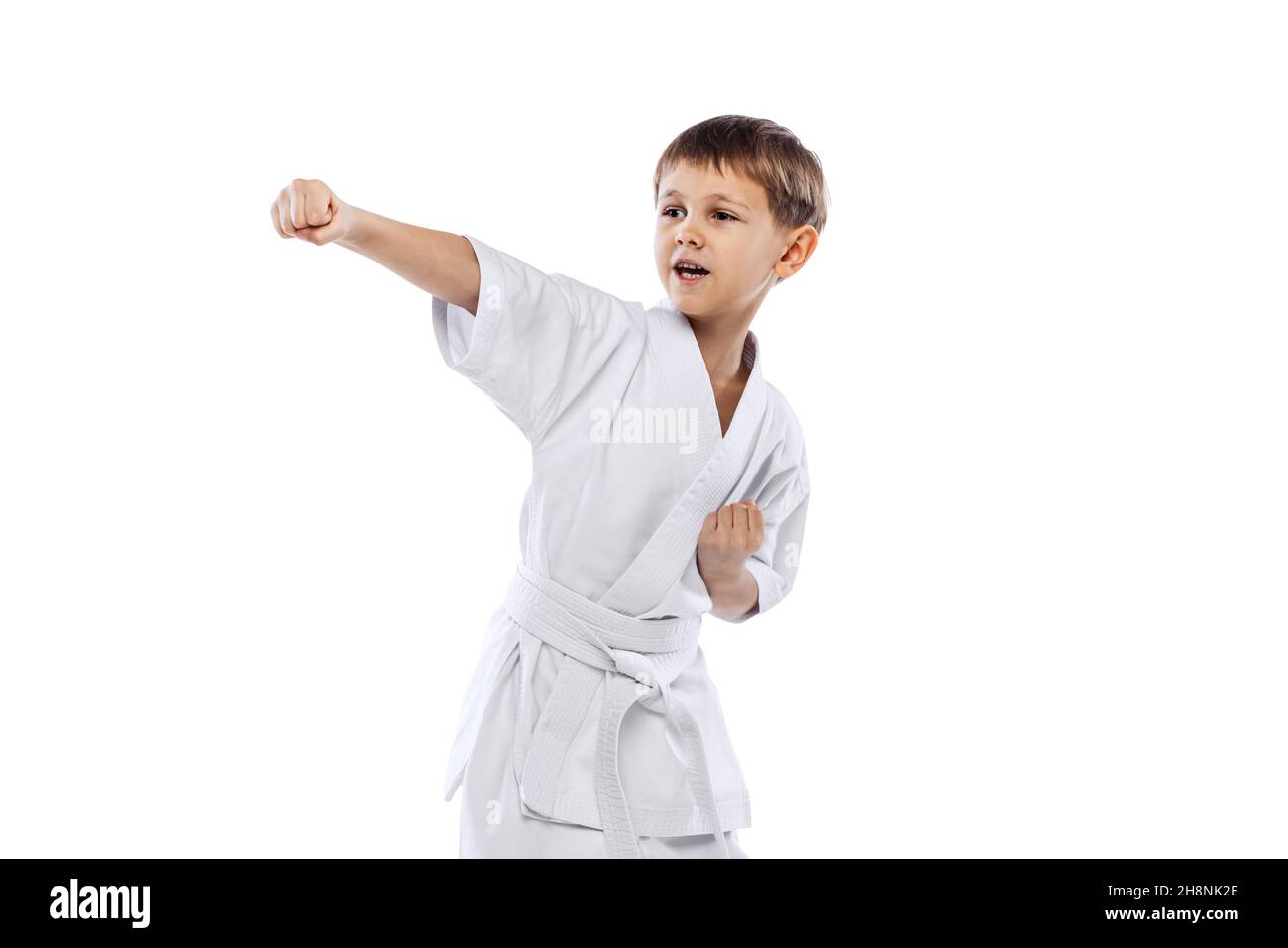 Teacher and Boy Doing Karate Poses Stock Image - Image of kimono,  taekwondo: 213388789