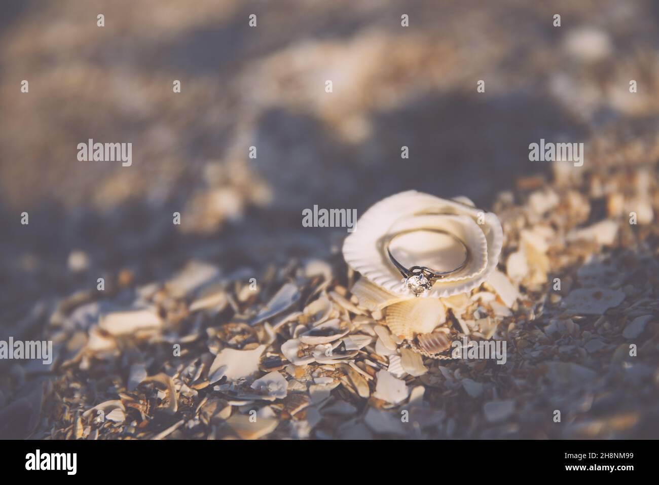 Engagement ring on a seashell, on the beach Stock Photo Alamy