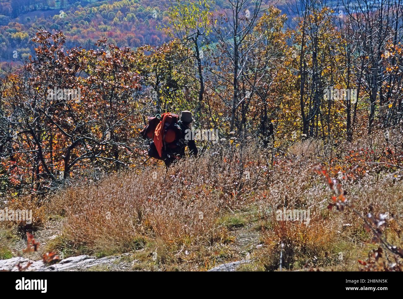 Hiker on the Appalachian Trail in autumn; Kittatiny Mtns. Sussex County, NJ. Stock Photo
