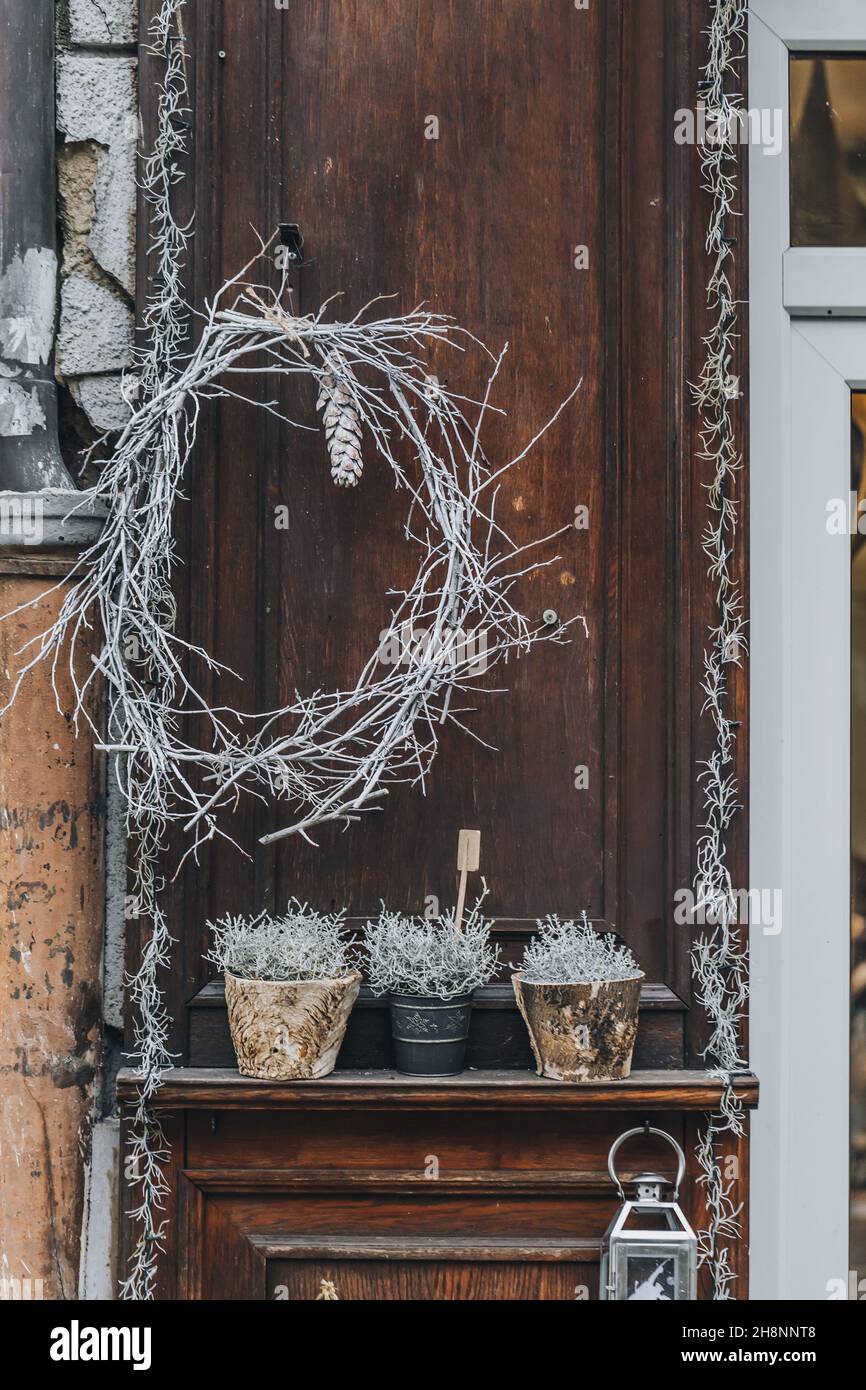 Tillandsia usneoides or Spanish moss as building decoration hanging at  flower shop. Trendy winter and Christmas decoration with flower pots and  lanterns Stock Photo - Alamy