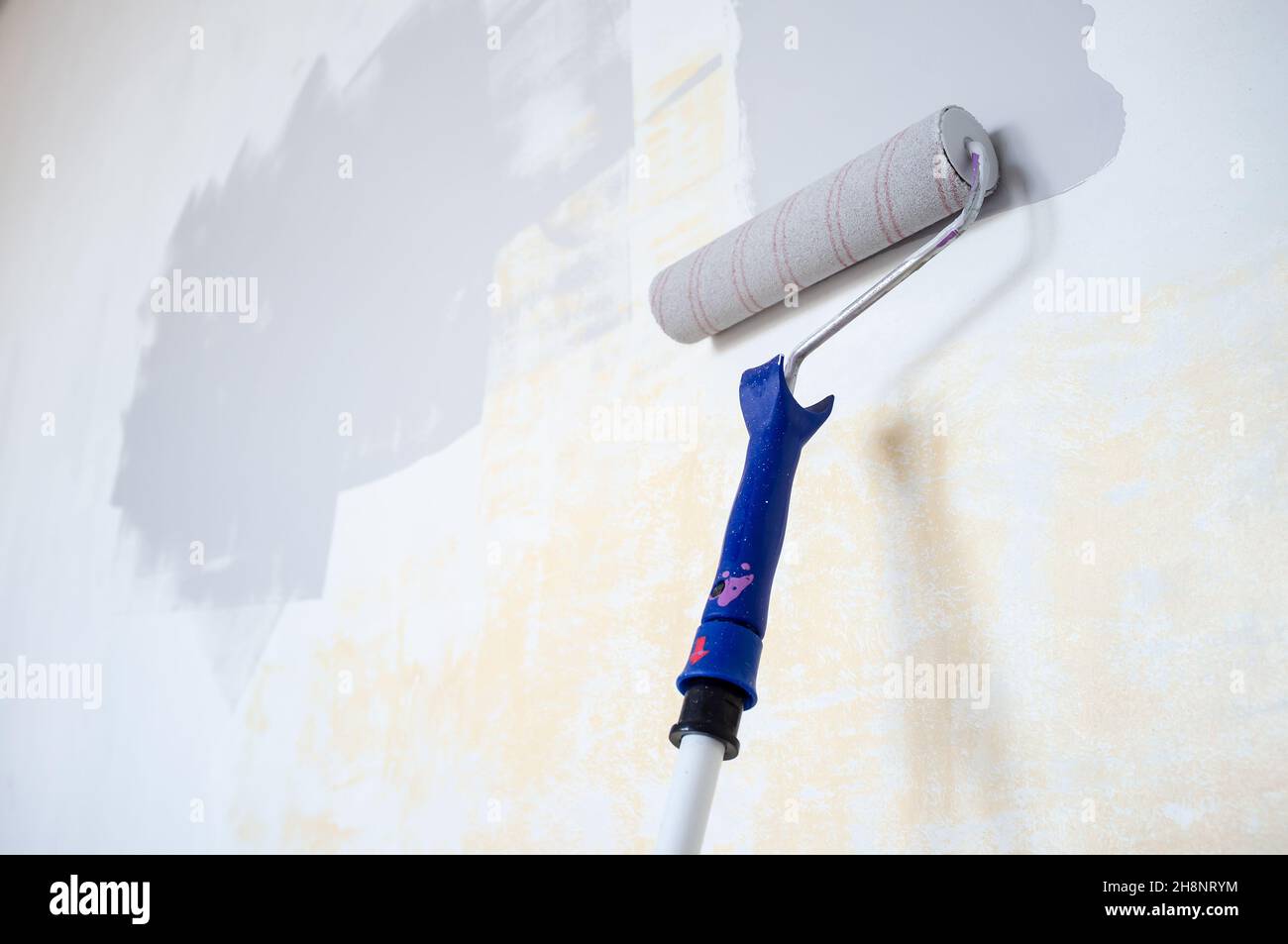 Roller on a wooden stick in gray paint is used to repaint the wall