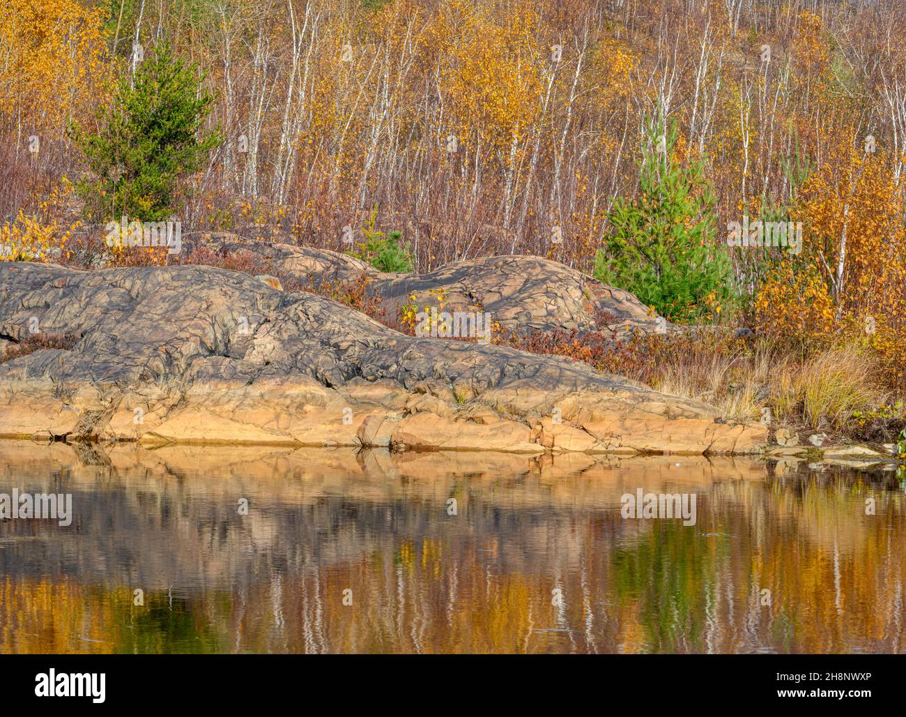 Biodiversity in the Sudbury Basin- Beaver pond and rocks, Greater Sudbury, Ontario, Canada Stock Photo