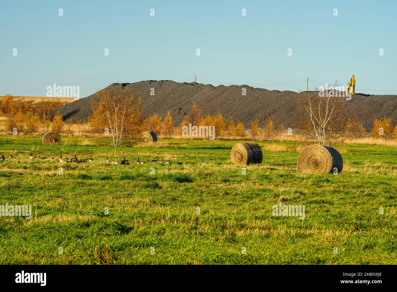 Rehabilitated tailings with hay bales, Greater Sudbury- Copper Cliff. Vale Central Tailings Facility, Ontario, Canada Stock Photo