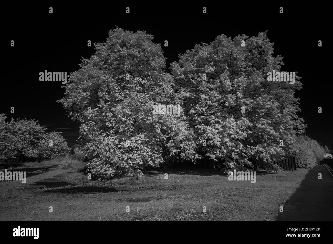 Infrared photography around Finningley England, on a sunny day. Stock Photo