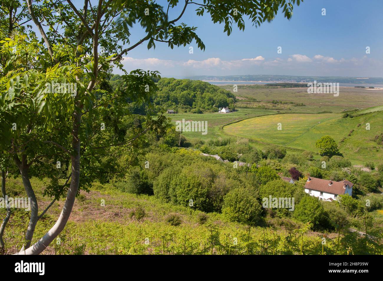 Llanmadoc with far reaching views to Llanridian Sands, Burry Port, Gower Peninsula, South Wales Stock Photo