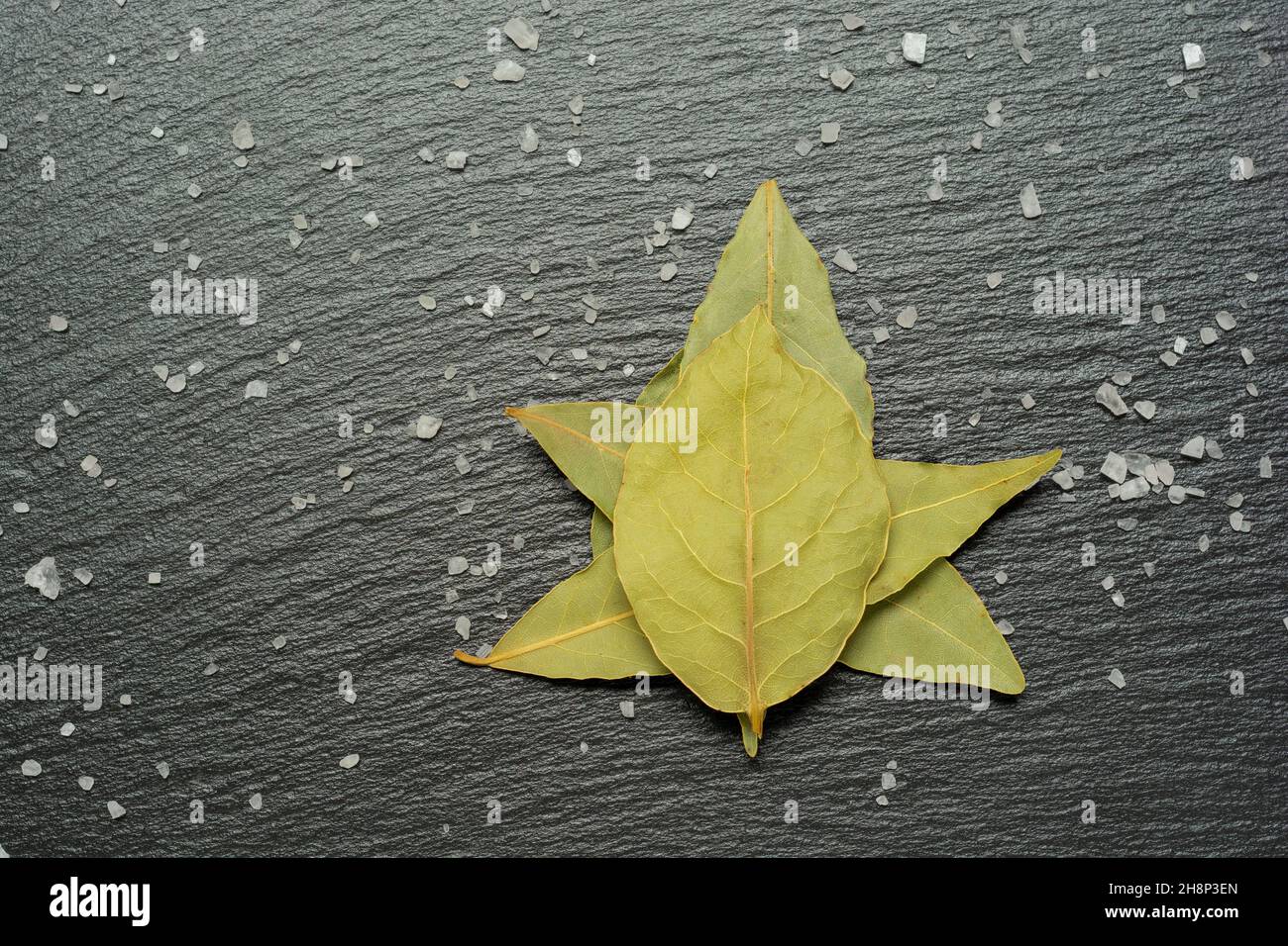 Spice. Bay leaves on a slate background with sea salt. Stock Photo