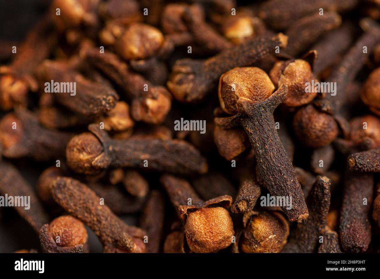 clove dried spicy herb for food aroma and natural medicine close up Stock Photo
