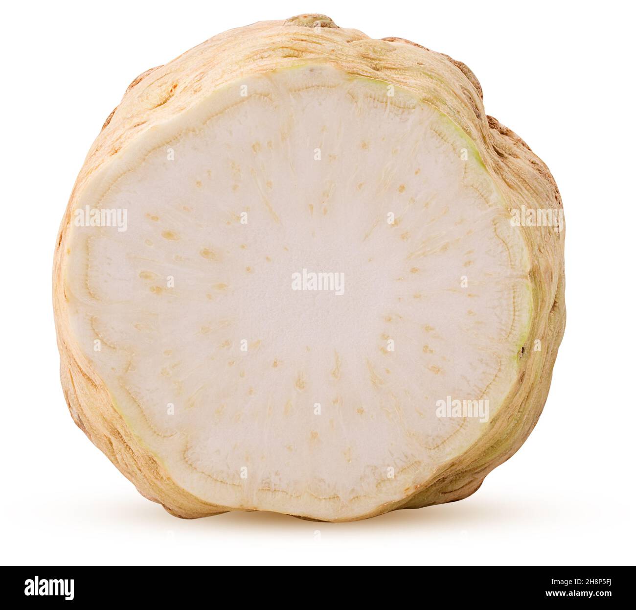 Root stalk stem tuber hi-res stock photography and images - Alamy