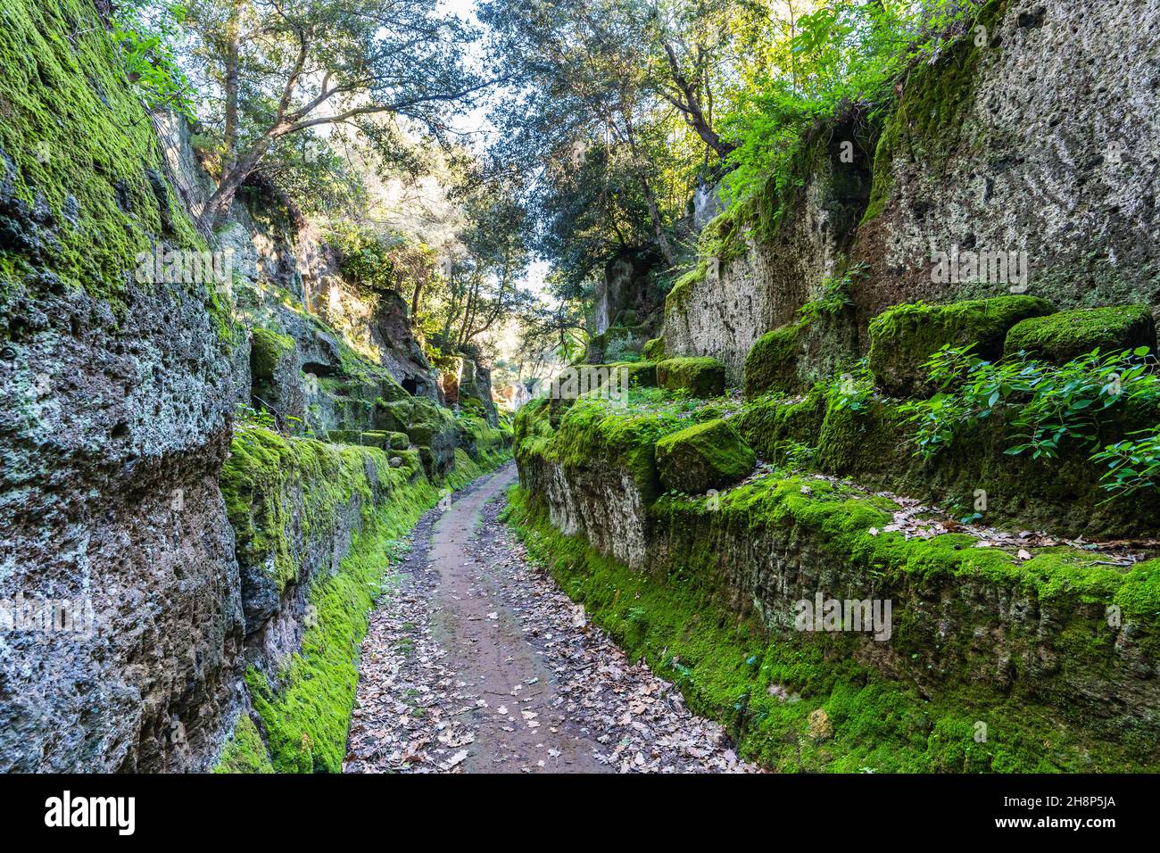 The via degli Inferi, at the Banditaccia necropolis (Cerveteri, Italy) Stock Photo