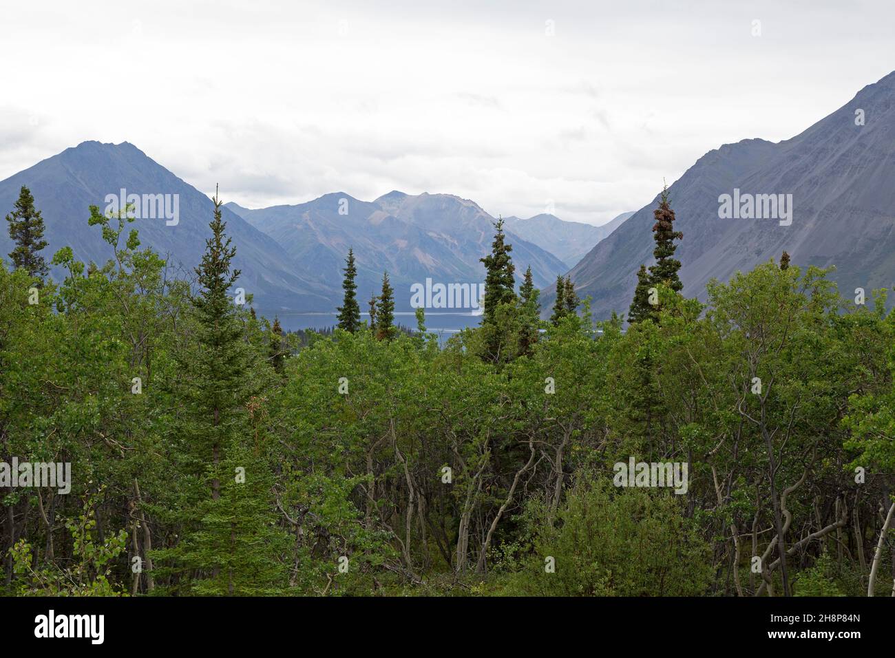 Sign at Kluane National Park and Reserve in the Yukon, Canada. Stock Photo