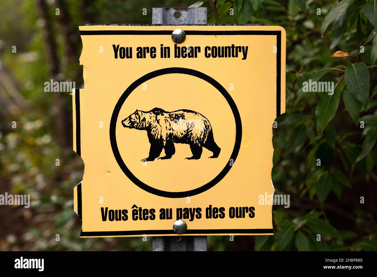 Sign warning of bears at a trailhead within Kluane National Park and Reserve in the Yukon, Canada. Stock Photo