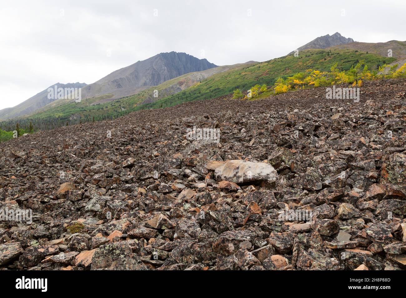 Scree in Kluane National Park and Reserve in the Yukon, Canada. The parkland covers an expanse of more than 22,000 square kilometres. Stock Photo