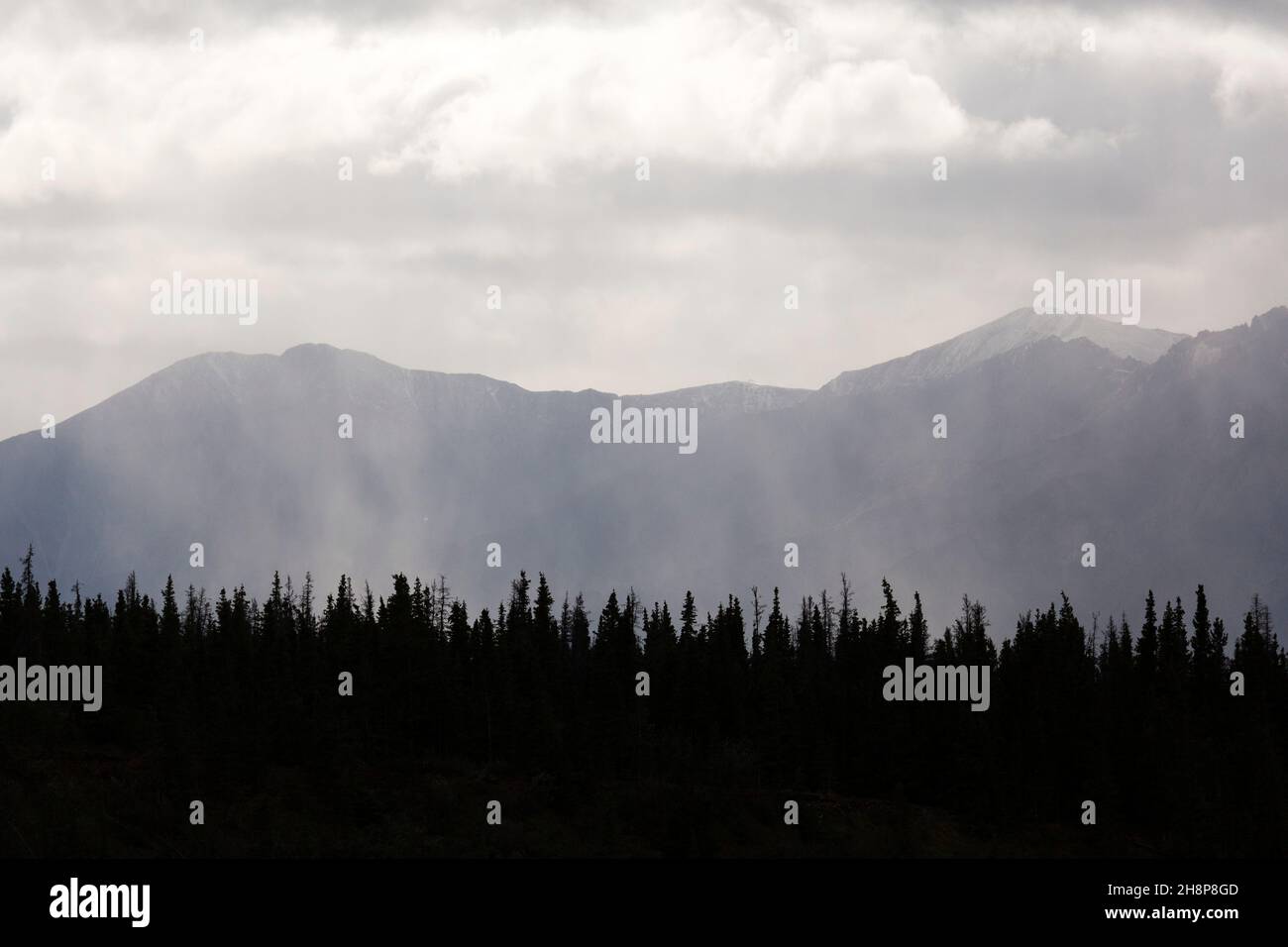 Mountains rise above dense forest in Kluane National Park and Reserve in the Yukon, Canada. Stock Photo