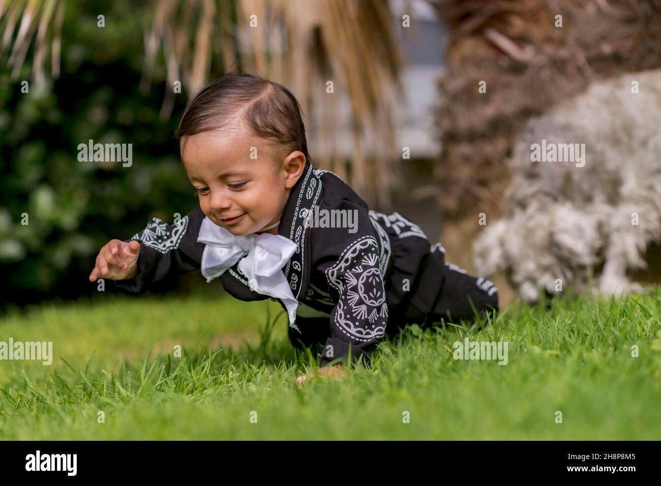 Cute Latin baby boy with a mariachi costume crawling on the grass Stock Photo
