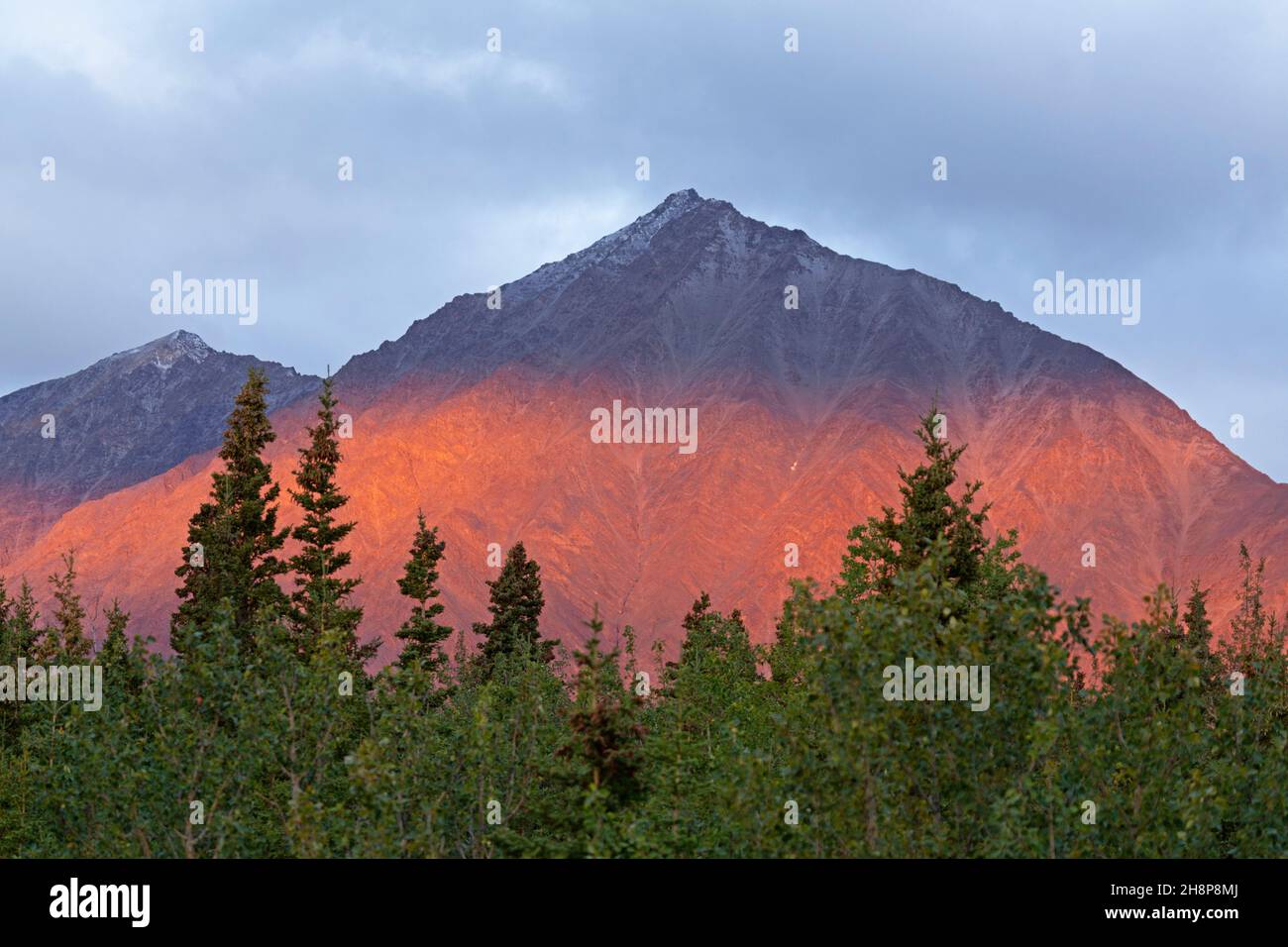 A sunlit mountain at Haines Junction in the Yukon, Canada. The peak in Kluane National Park and Reserve towers over forest. Stock Photo