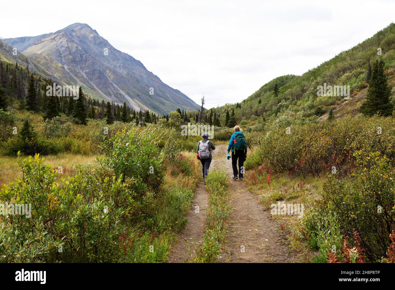 People on a hiking trail within Kluane National Park and Reserve in the Yukon, Canada. Stock Photo