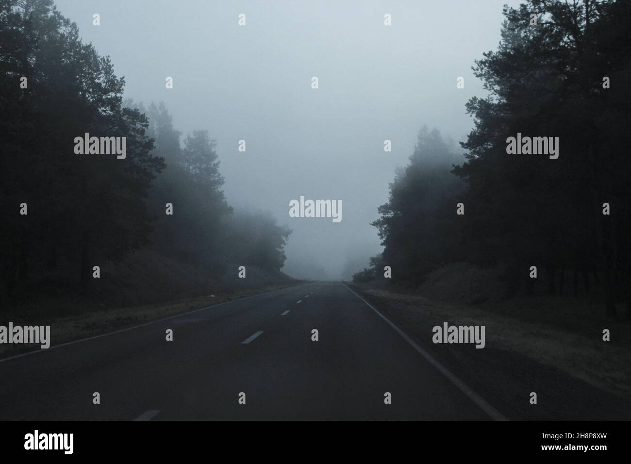 The road in the foggy forest Stock Photo - Alamy