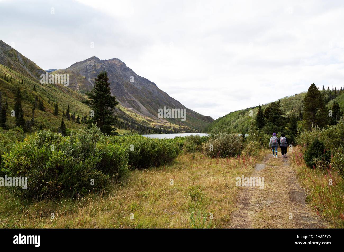Walkers on a hiking trail within Kluane National Park and Reserve in the Yukon, Canada. Stock Photo