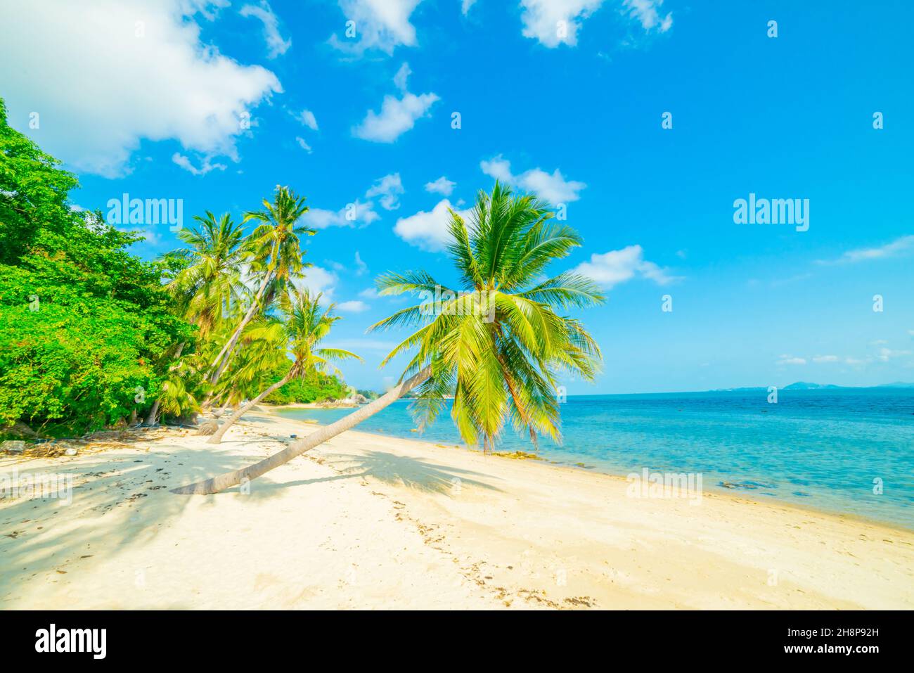 Beautiful sunny beach. View of nice tropical beach with palms around. holiday and vacation concept Stock Photo