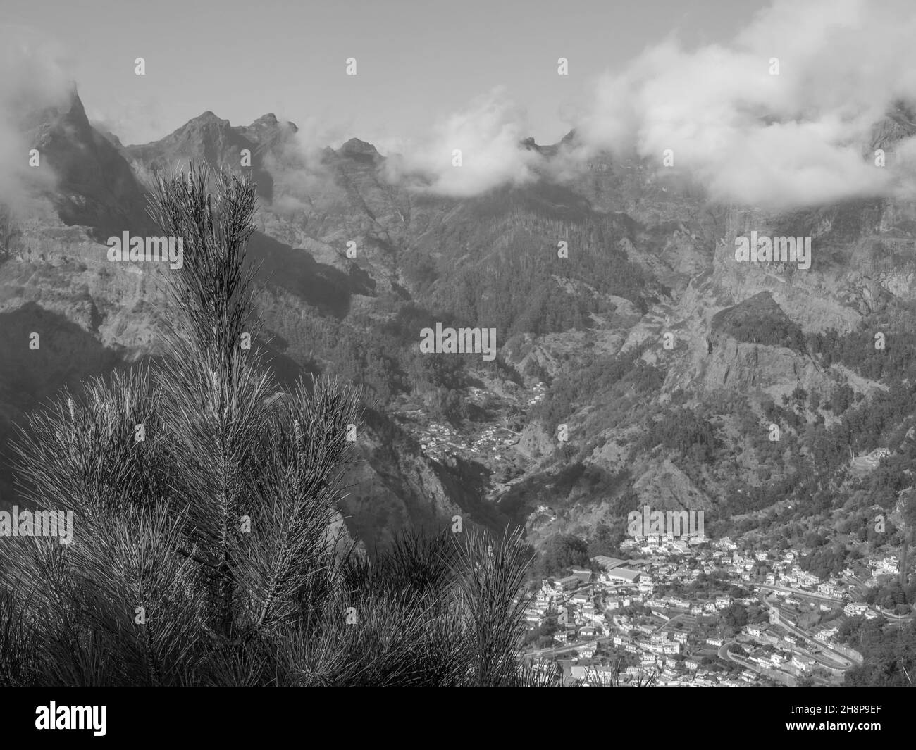 the island of Madeira Stock Photo Alamy