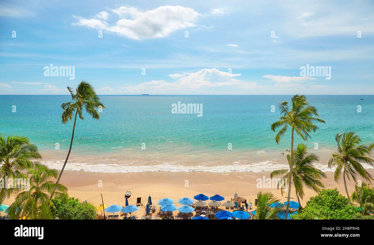 Tropical beach with coconut palm trees and sea view, Sri Lanka Stock ...