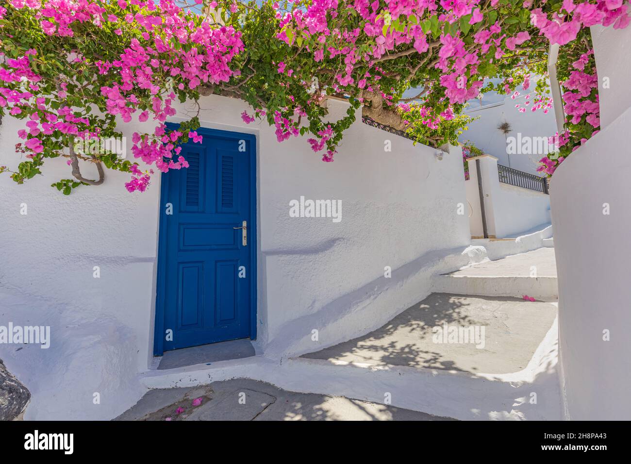 Romantic blue door with pink flowers, idyllic nature. Couple honeymoon destination, urban street banner. Santorini, Greece Stock Photo