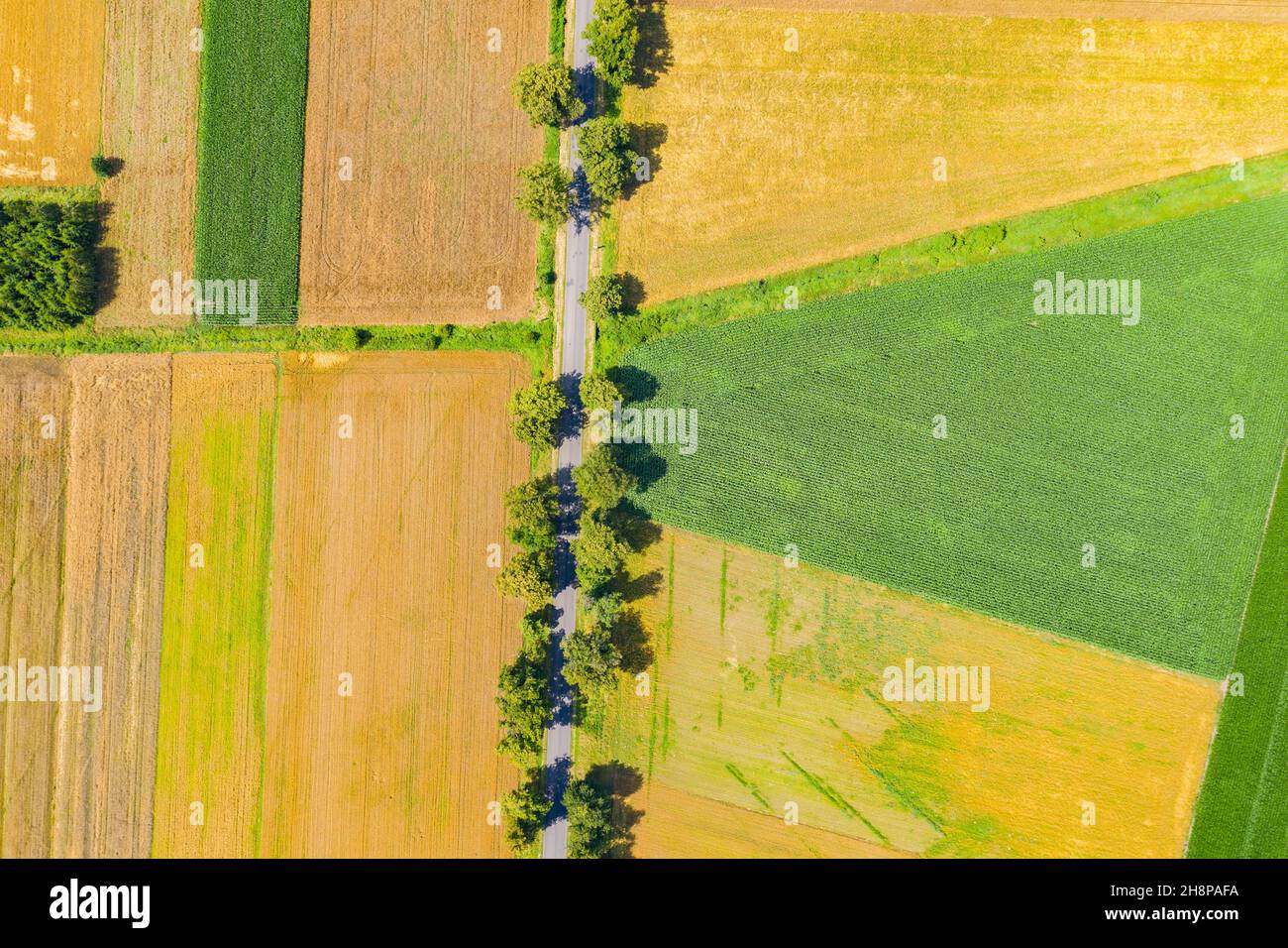 Beautiful side aerial view green hi-res stock photography and images ...