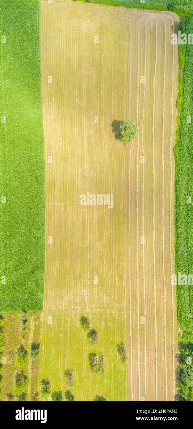Top aerial panoramic view of green fields and meadows in summer ...
