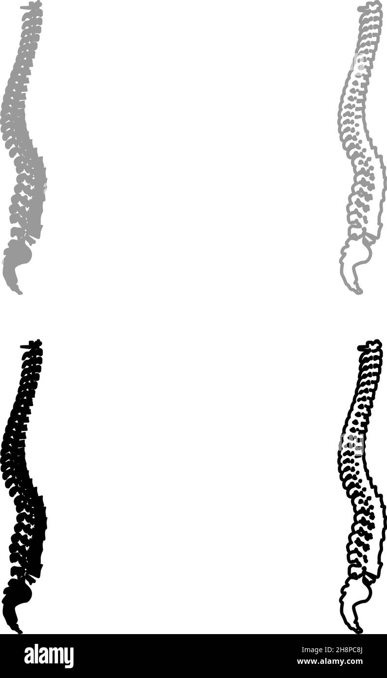 Spinal vertebral column spine backbone set icon grey black color vector illustration image simple flat style solid fill outline contour line thin Stock Vector