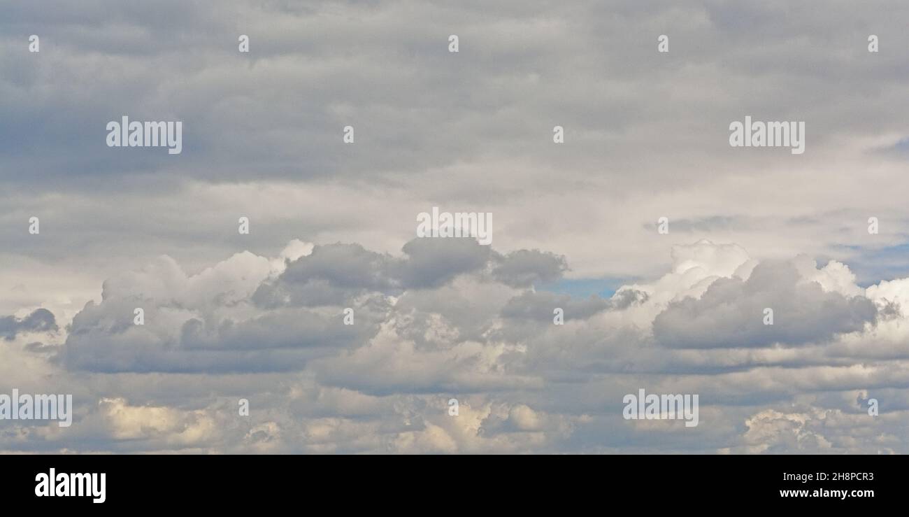 Cloudscape with light grey cumulus and stratocumulus clouds , full frame background Stock Photo
